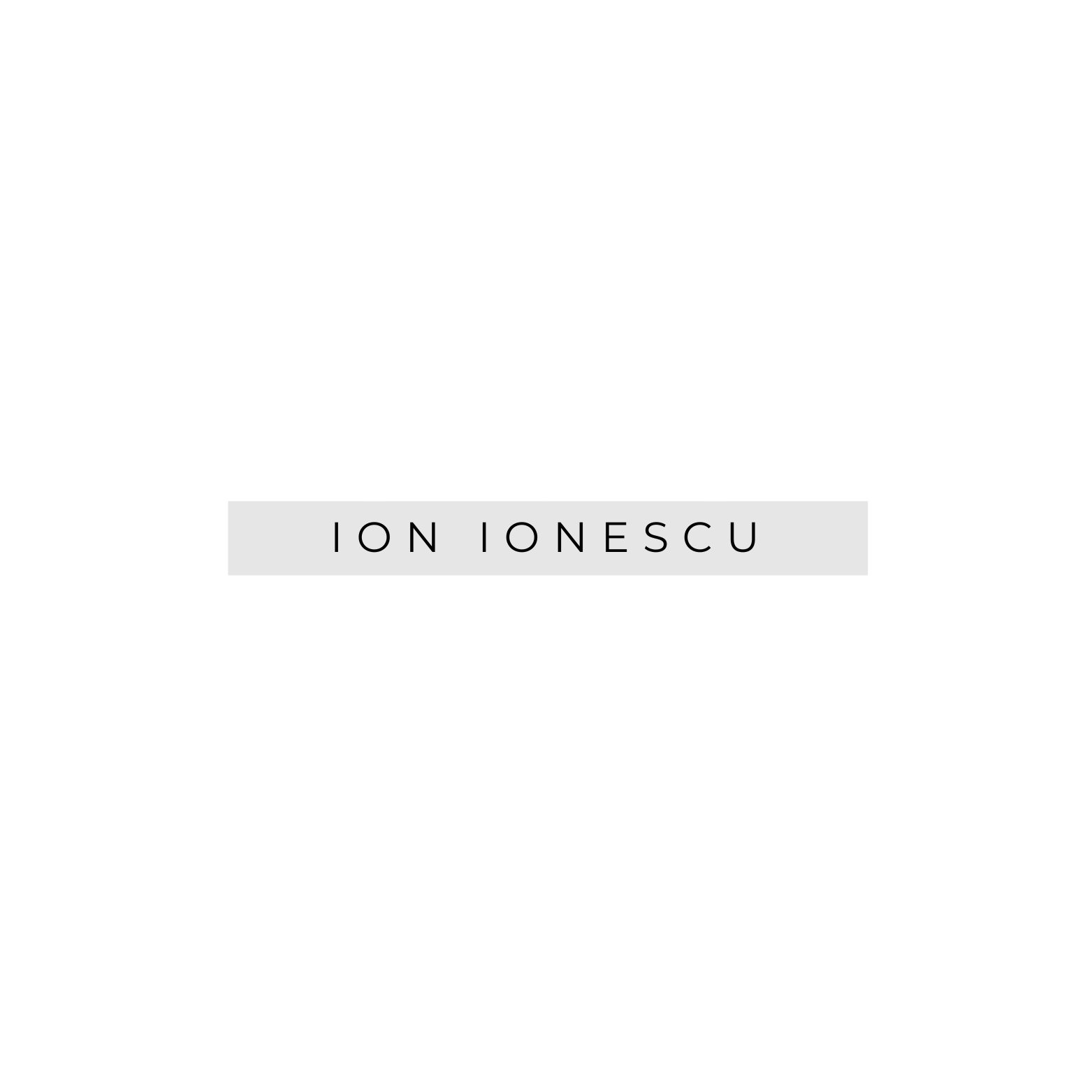 Ion Ionescu
